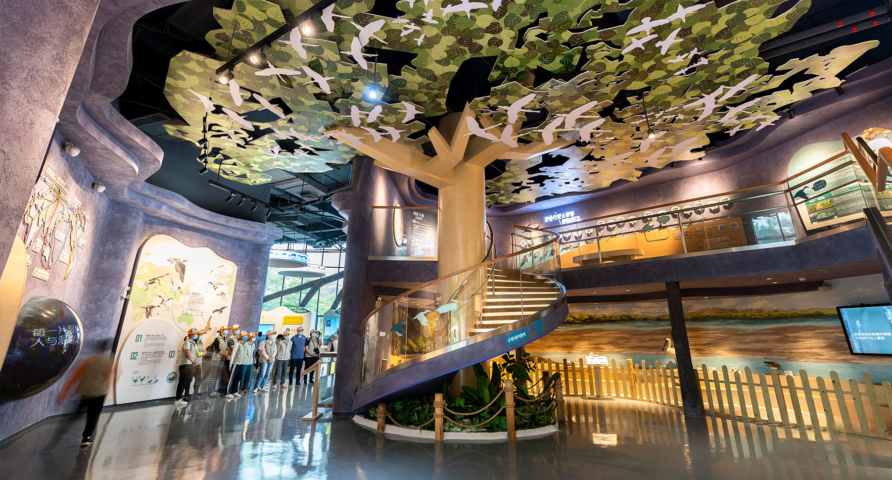 福田区红树林生态公园自然科普馆中庭湿地场景